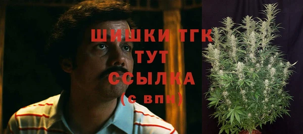 герыч Бронницы