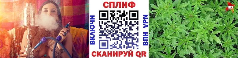 МАРИХУАНА тримм  продажа наркотиков  блэк спрут ТОР  Кировск 